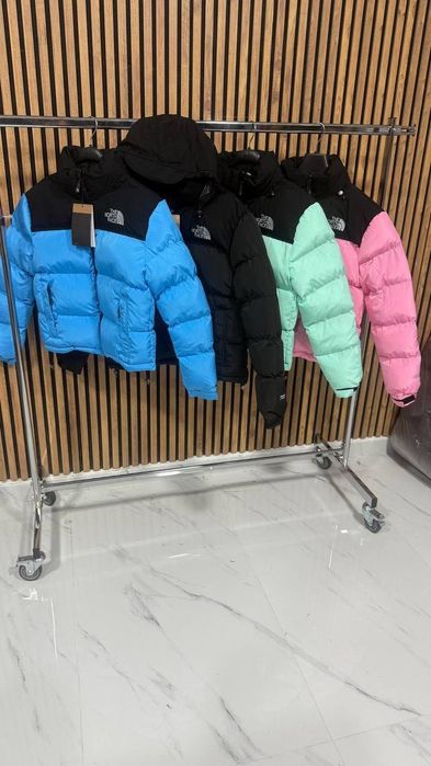 Geci The north face .