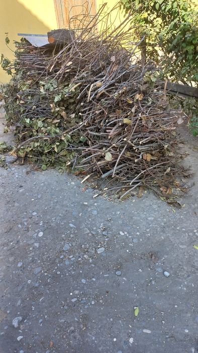 Утинлар сотилади