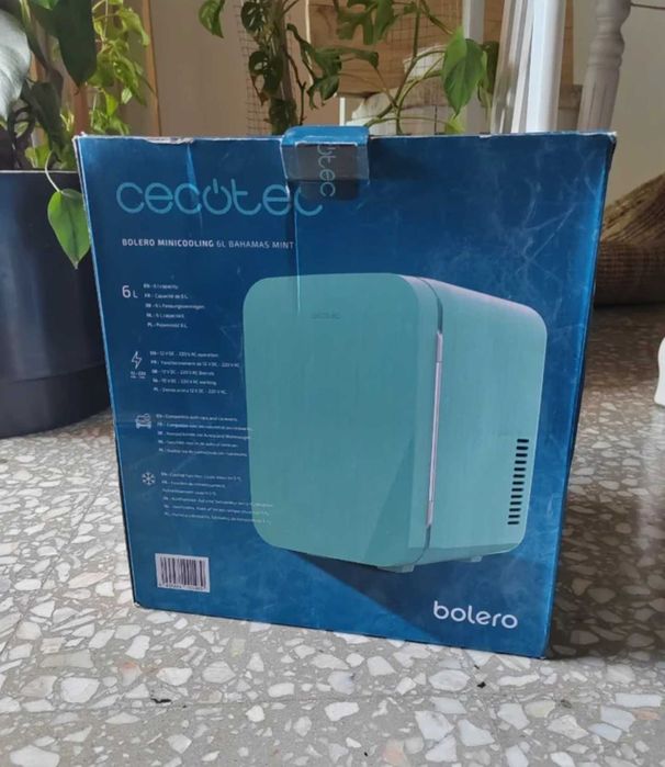 Braun bosch philips corona cecotec tefal