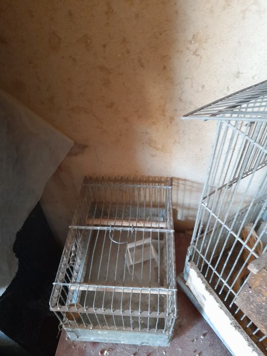 Colivii canari,papagali,