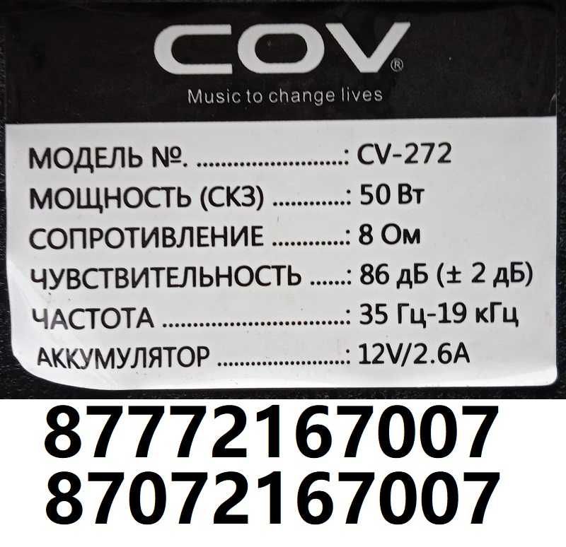 Колонка аккумуляторная для мобильных выступлений.