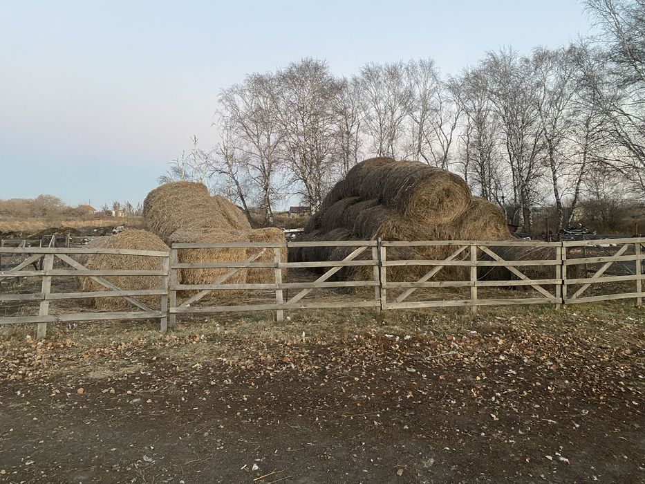 продам сено и салому не дорого