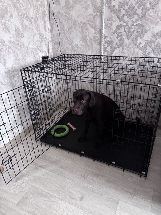 Продам клетку для собак
