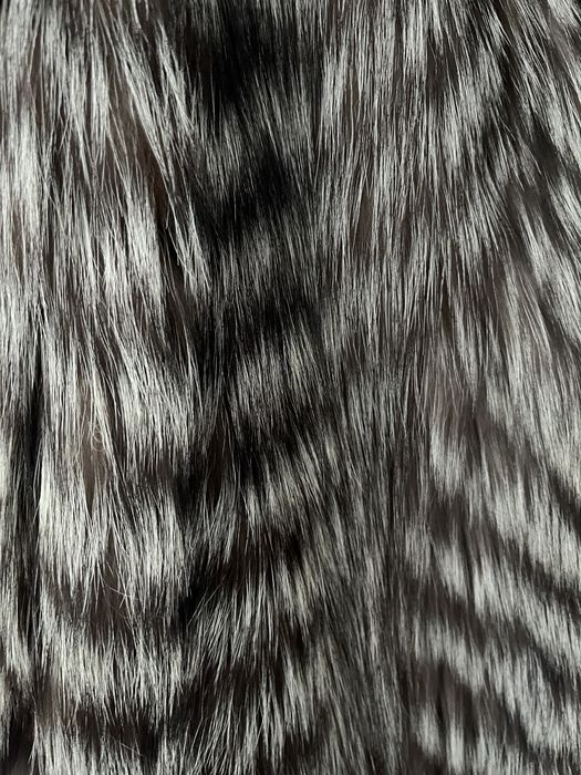 Haina de blana vulpe polara- VINTAGE/LUX/DEOSEBITA