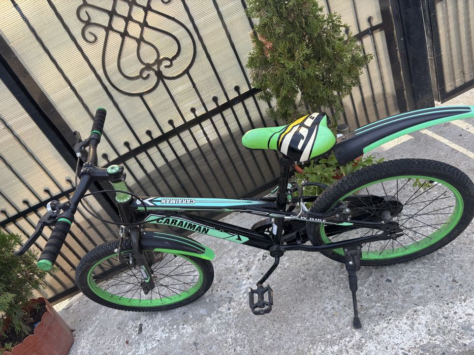Bicicleta verde
