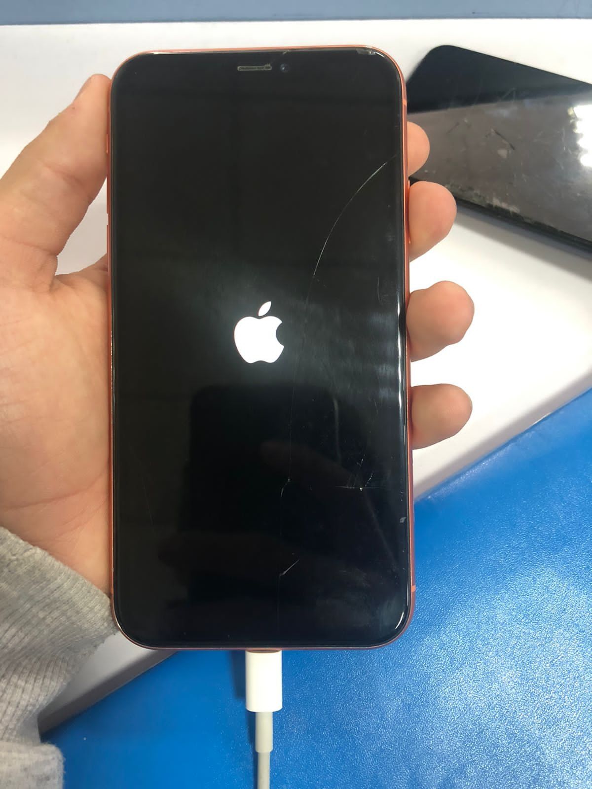 iPhone XR Айфон хр