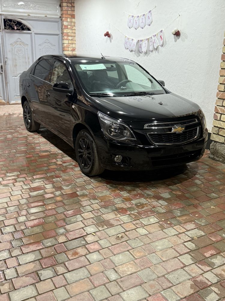 Cobalt Midnigt 2025 новый