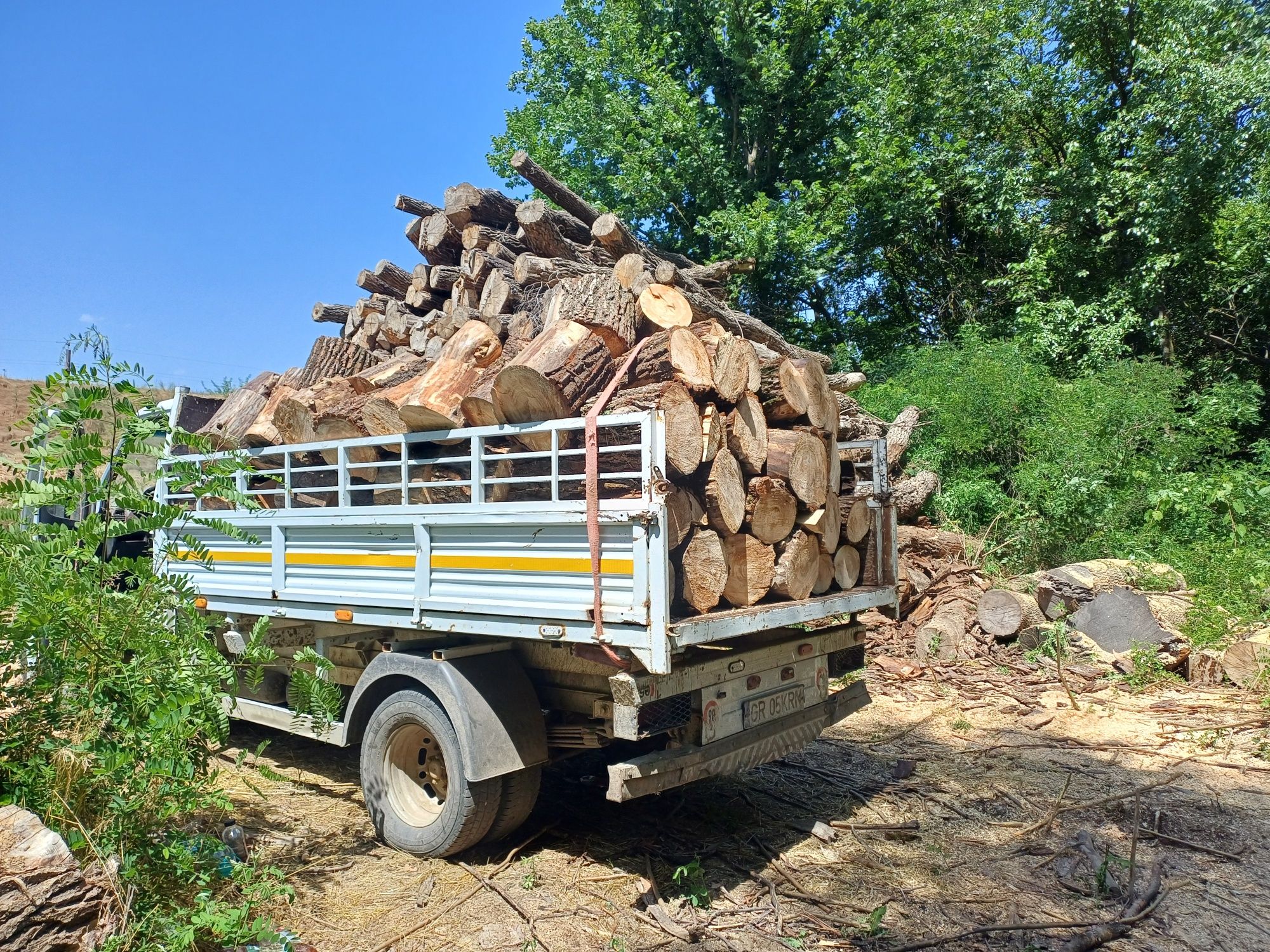 Vand Lemne de Foc de orice esenta  
Stejar 700 
Salcam 700
Plop 450
Sa