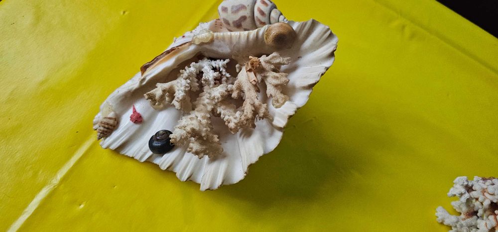 decoratiune acvariu terariu coral scoici decorative