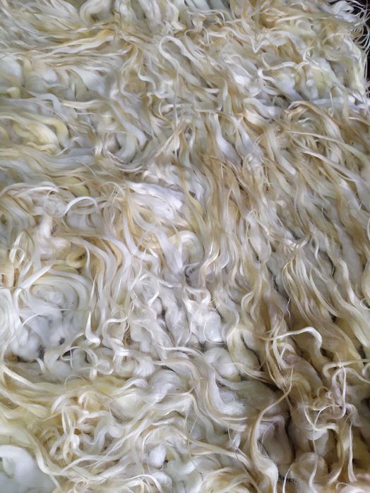 Чипровски пътеки, Котлетнски килими, китеници, халища-чисто нови