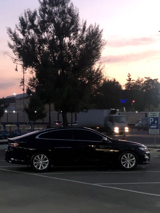 Malibu 2 premier