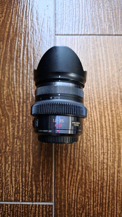 Panasonic lumix gh5s