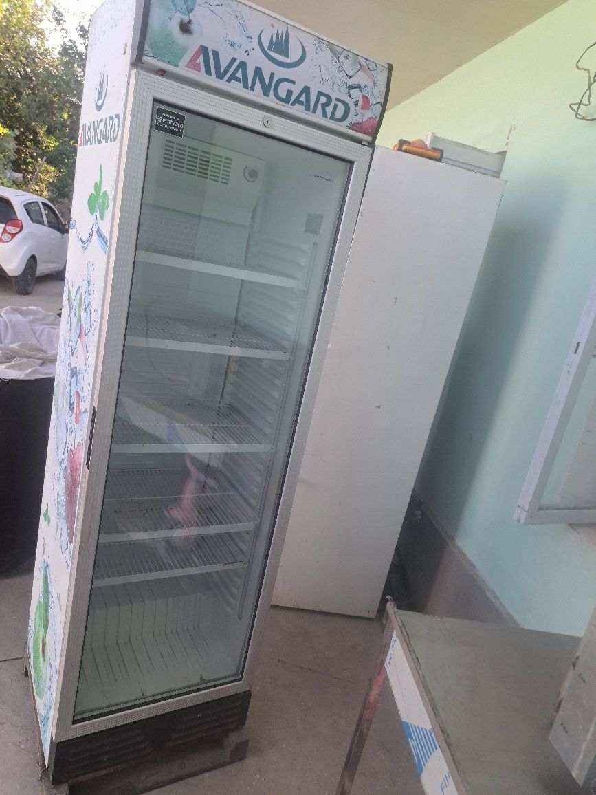 Avangard Artel haladinniklar