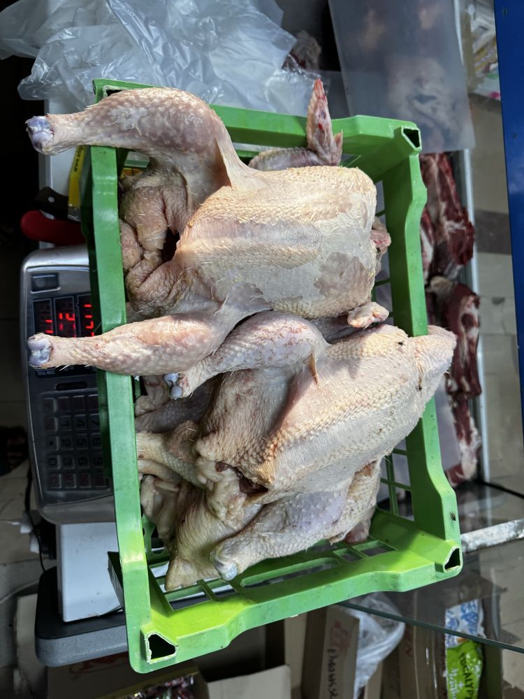 Продам мясо и яйца