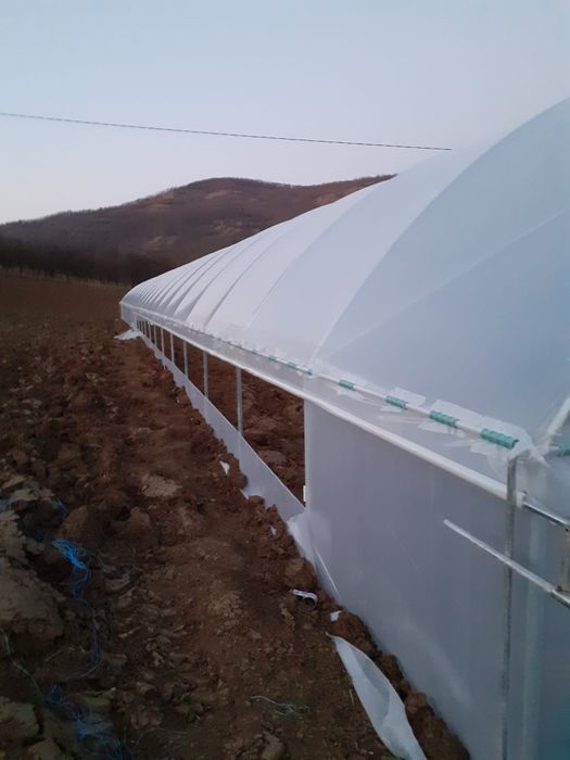 Sere solarii legume flori