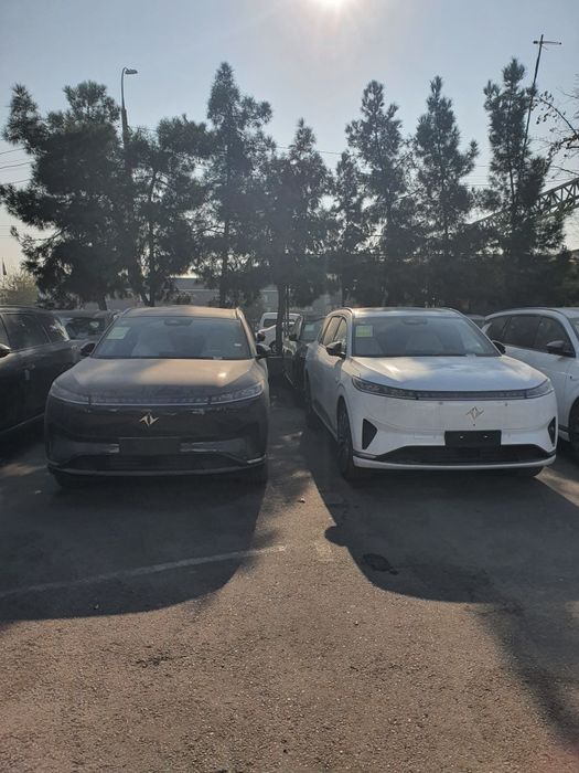 Dong Feng 008 Nalichida bor