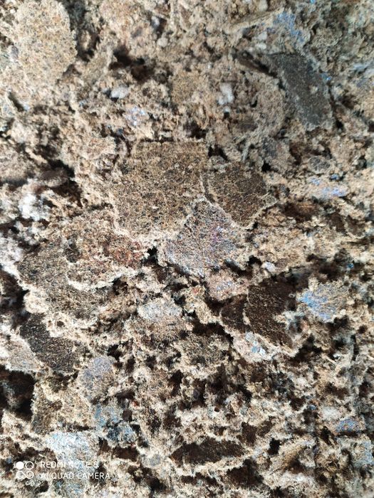 Chigit kunjarasi toza chigitdan olingan