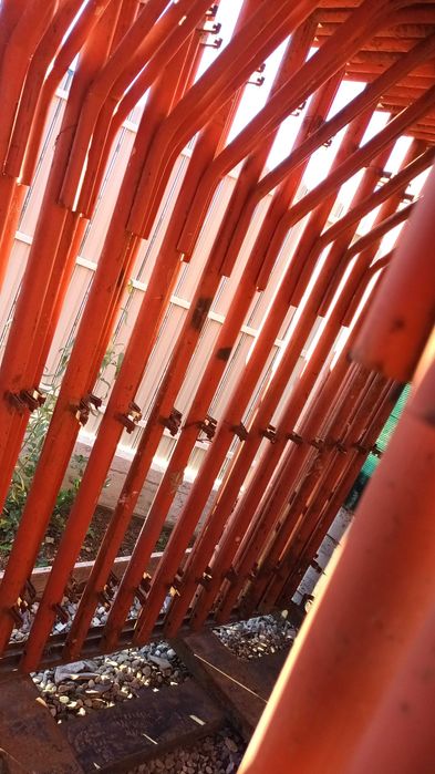 Schela itiana stare buna