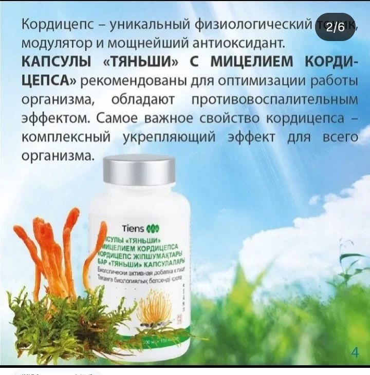 Кордицепс тяньши
