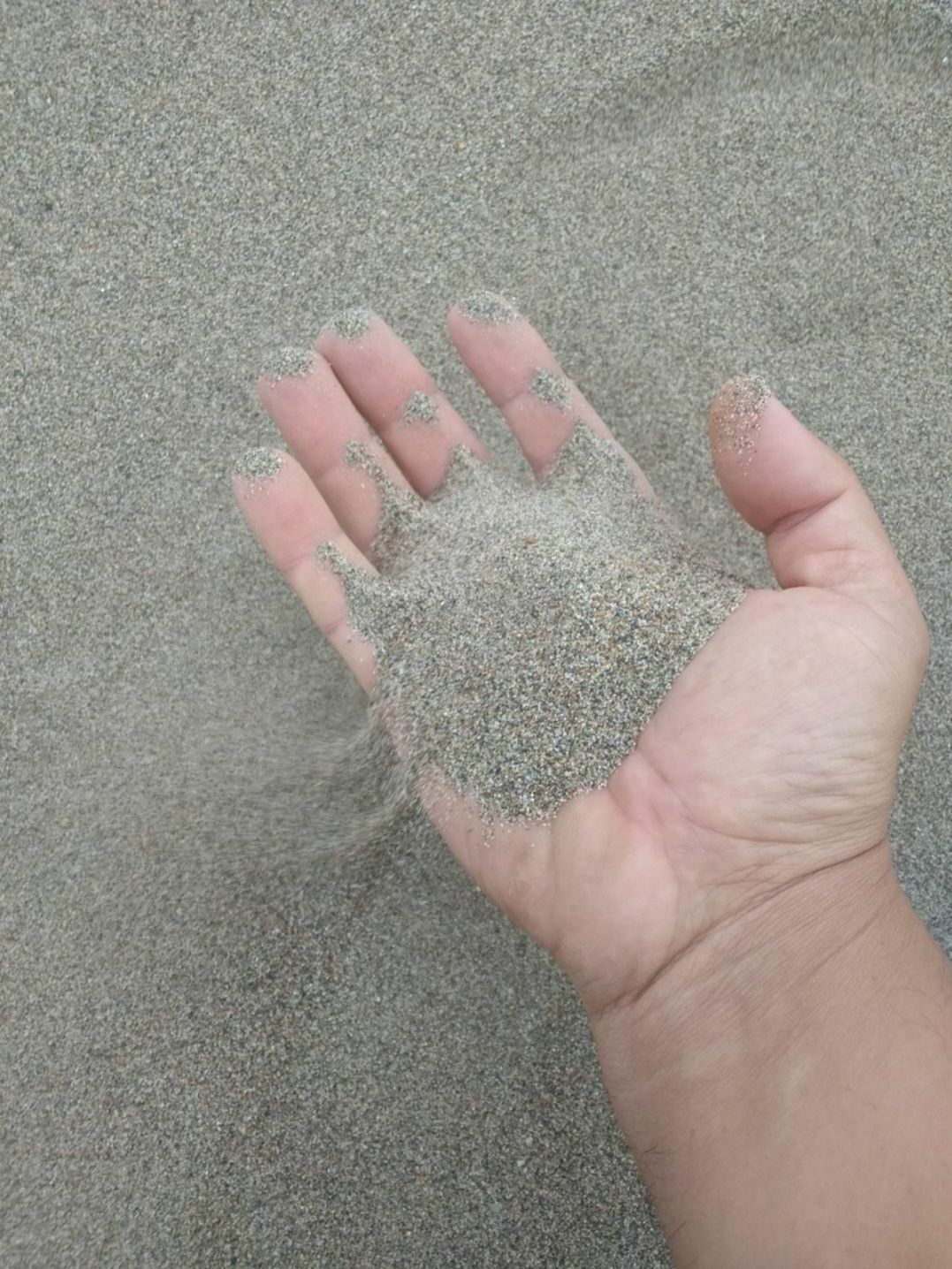 Песок митий чиназ клинец шебен шагал гпс