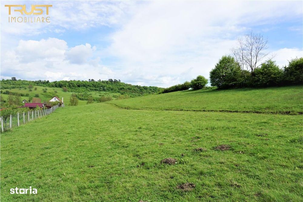 Teren intravilan Valea Castailor Bistrita