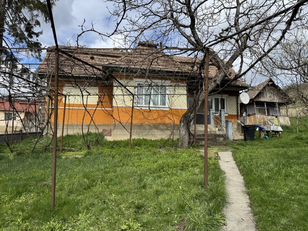 Casa cu teren de vanzare