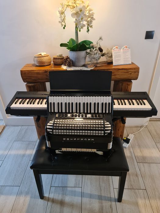 Acordeon Excelsior cassotto Mod. 960