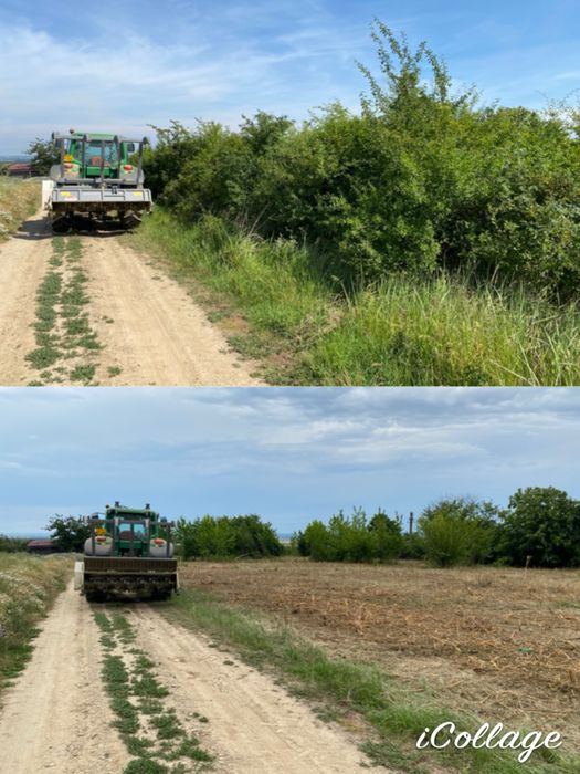 Defrisari si intretinere spati verzi