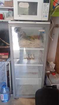 продам срочно Холодильник витриный бирюса