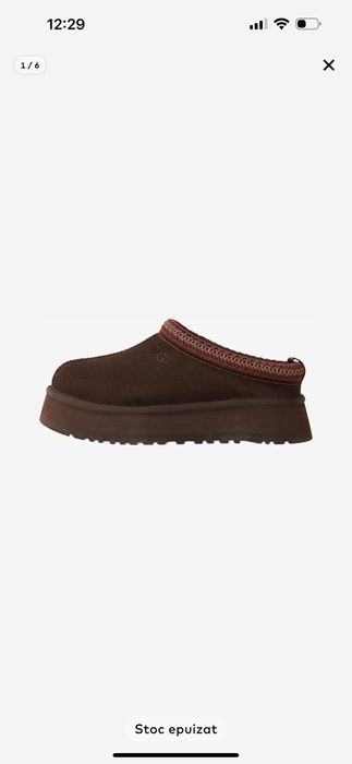 Ugg TAZZ Dusted cocoa
