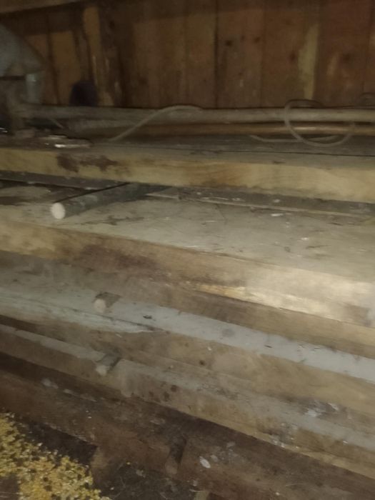 Foștă de stejar uscată