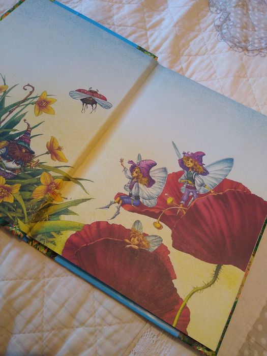 Carte copii - Călătorie în țara spiridușilor de Ecaterina Sevcenco