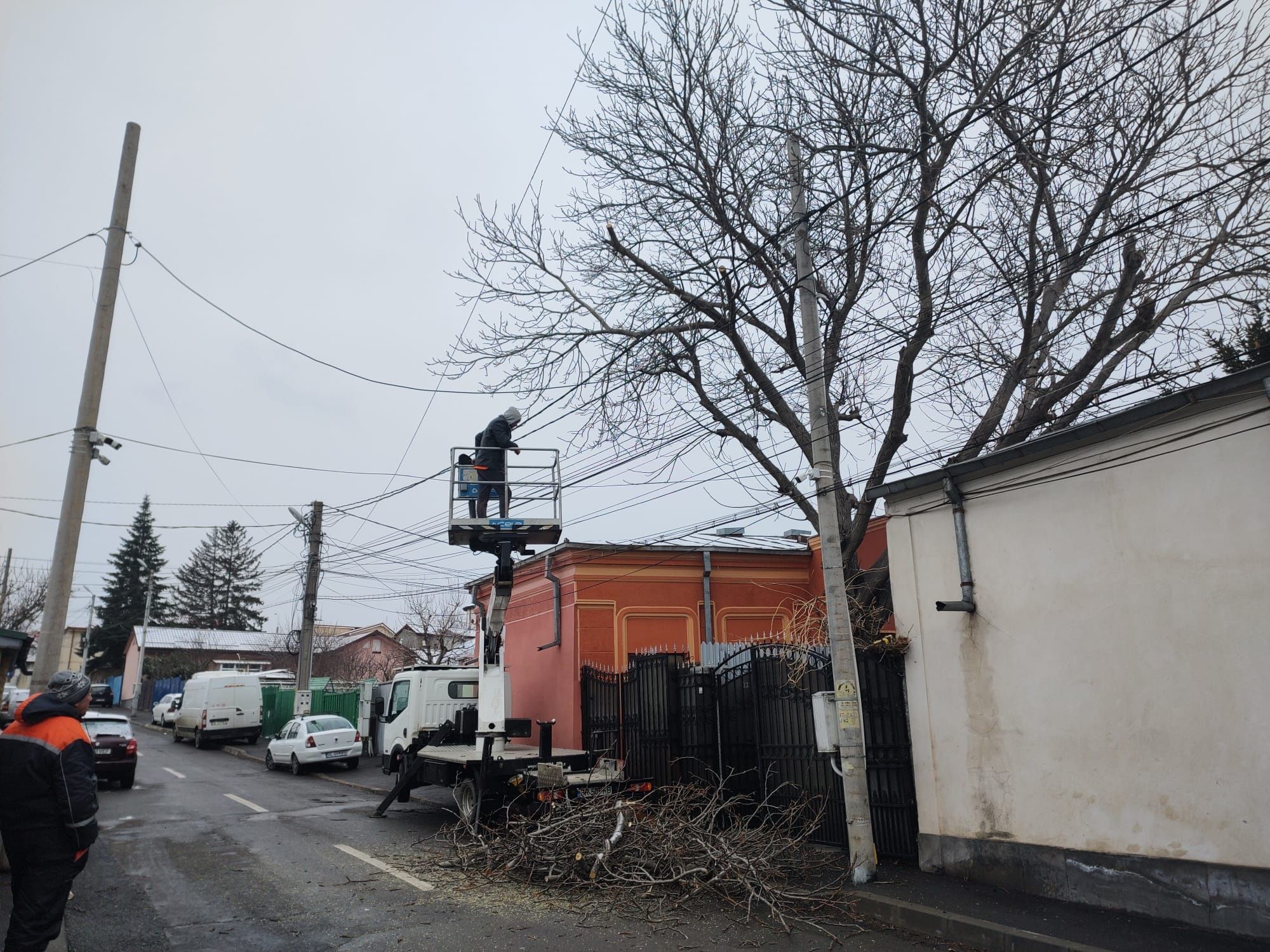 Taiere/Cosmetizare/Fasonare Arbori Periculoși Ieftin.