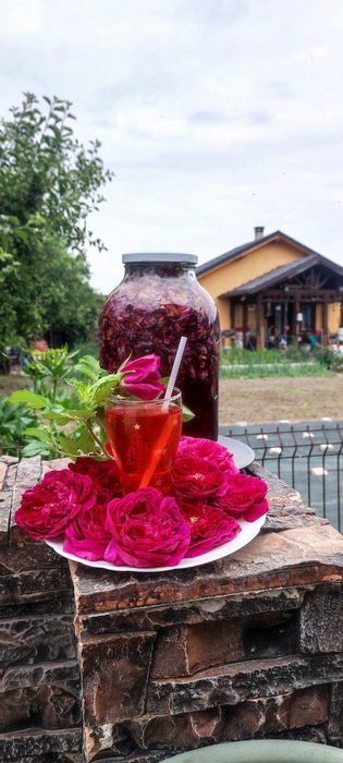 Floare de trandafir din soiul Damasc cu floarea mare - pt dulceata etc