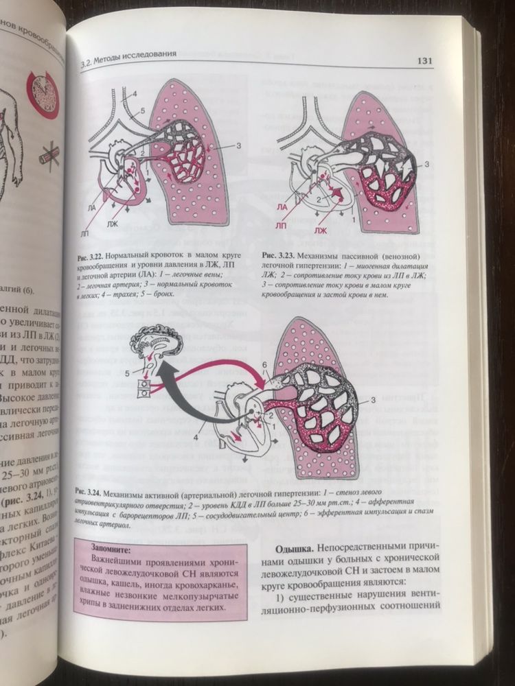 А.В.Струтынский -Основы семотики заболеваний внутренних органов