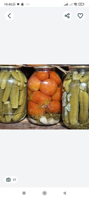 Продам огурцы  домашние