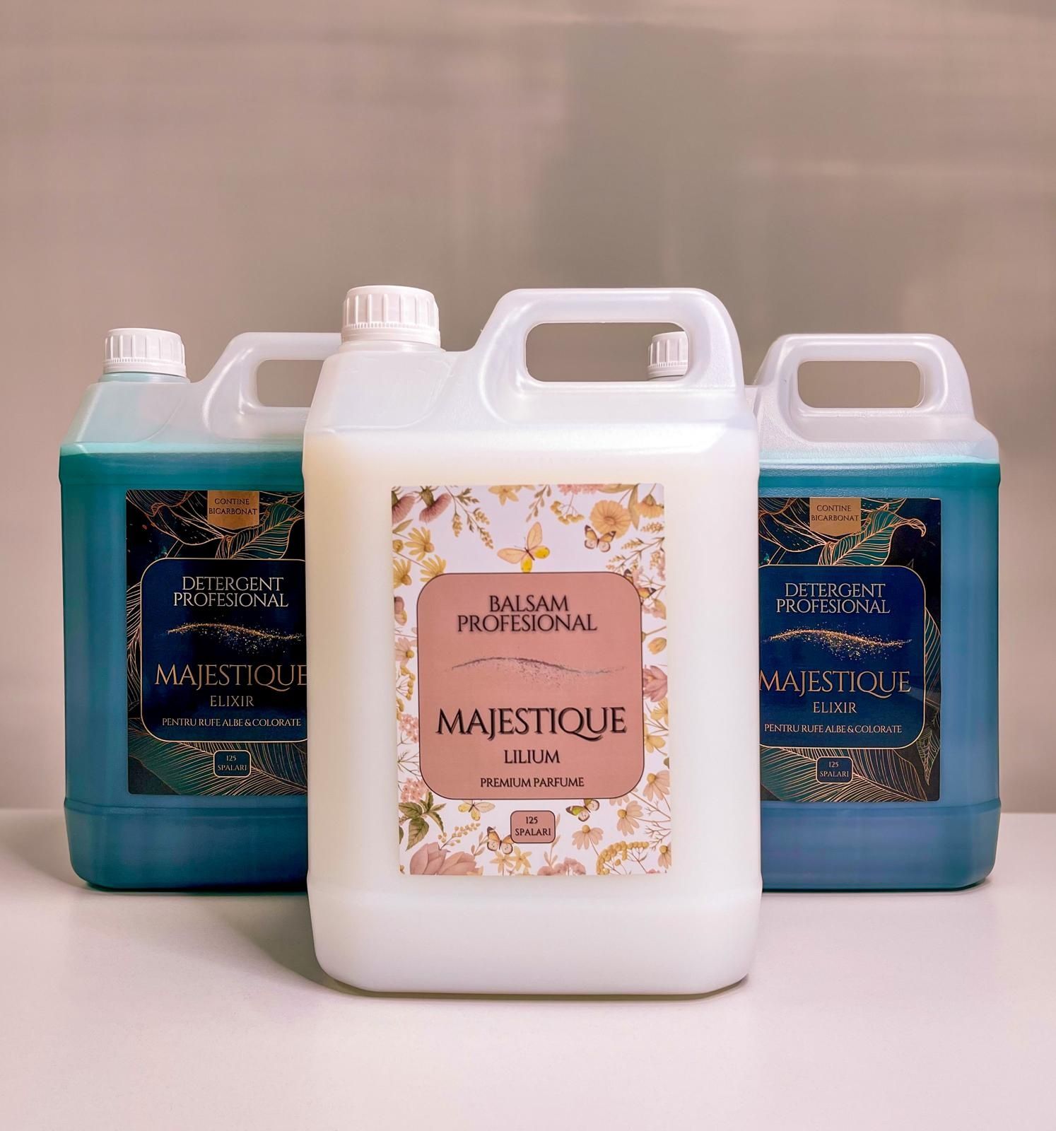 Detergent Profesional