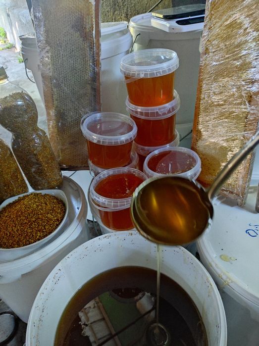 Продам мёд натуральный со своей пасики