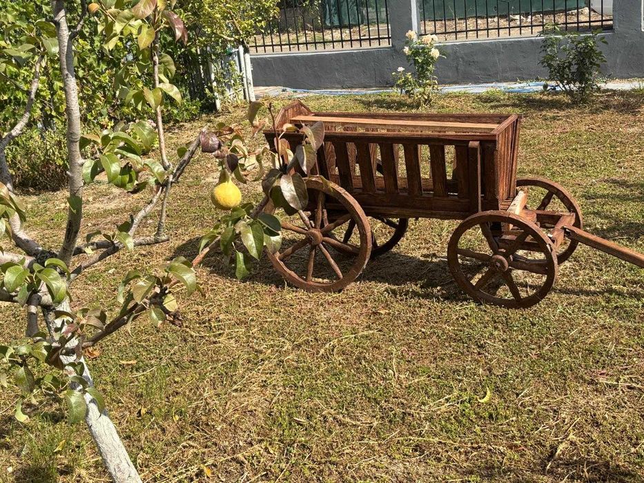 Car Decorativ pentru gradina