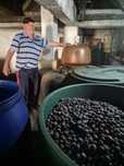 Prune de excepție cu un randament superior preț de producător!