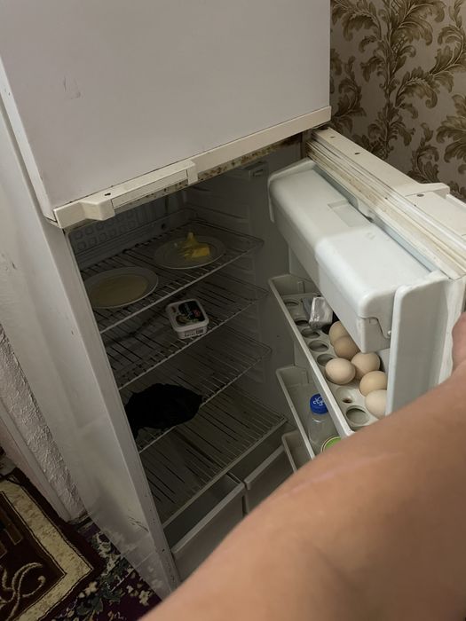 халоделник харошем састаяня