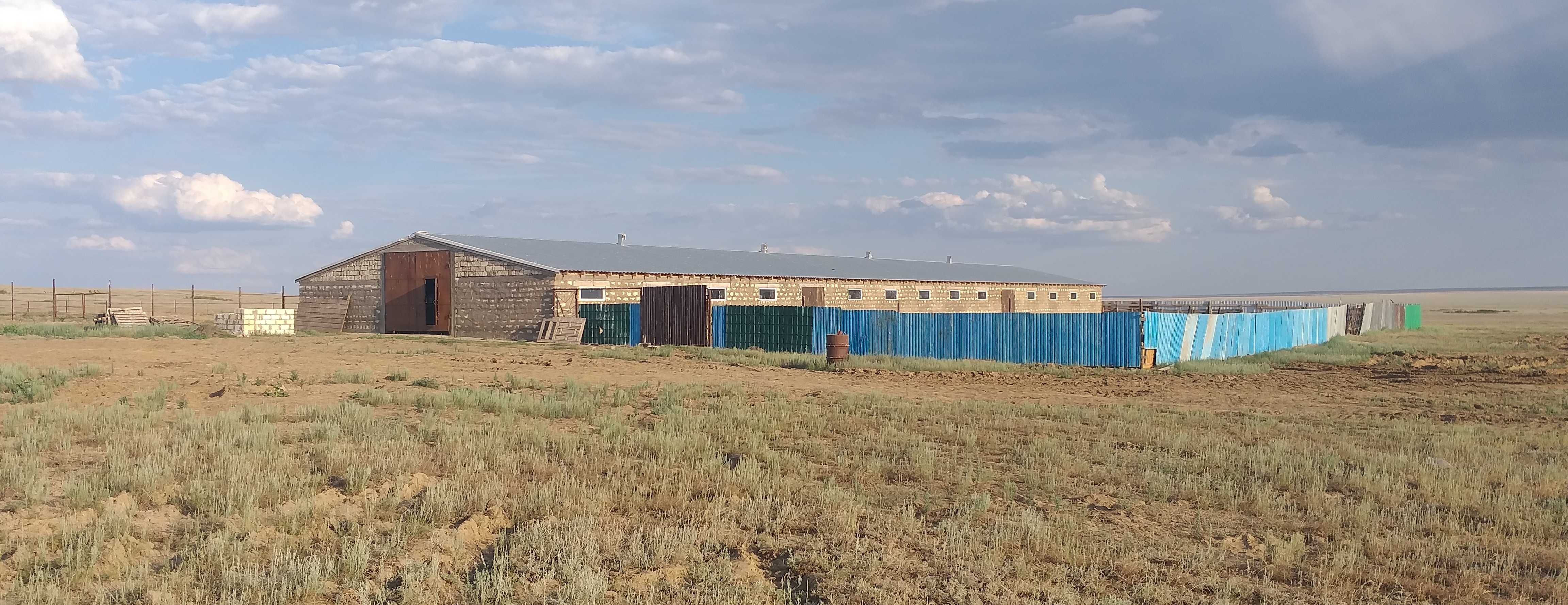 Срочно продается хозяйство