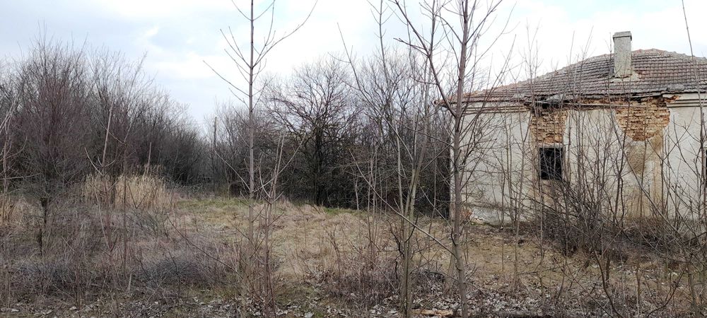 Продава се Къща в с. Пчеларово, Област Добрич - 90 кв.м за 62 €/кв.м - Снимка #3