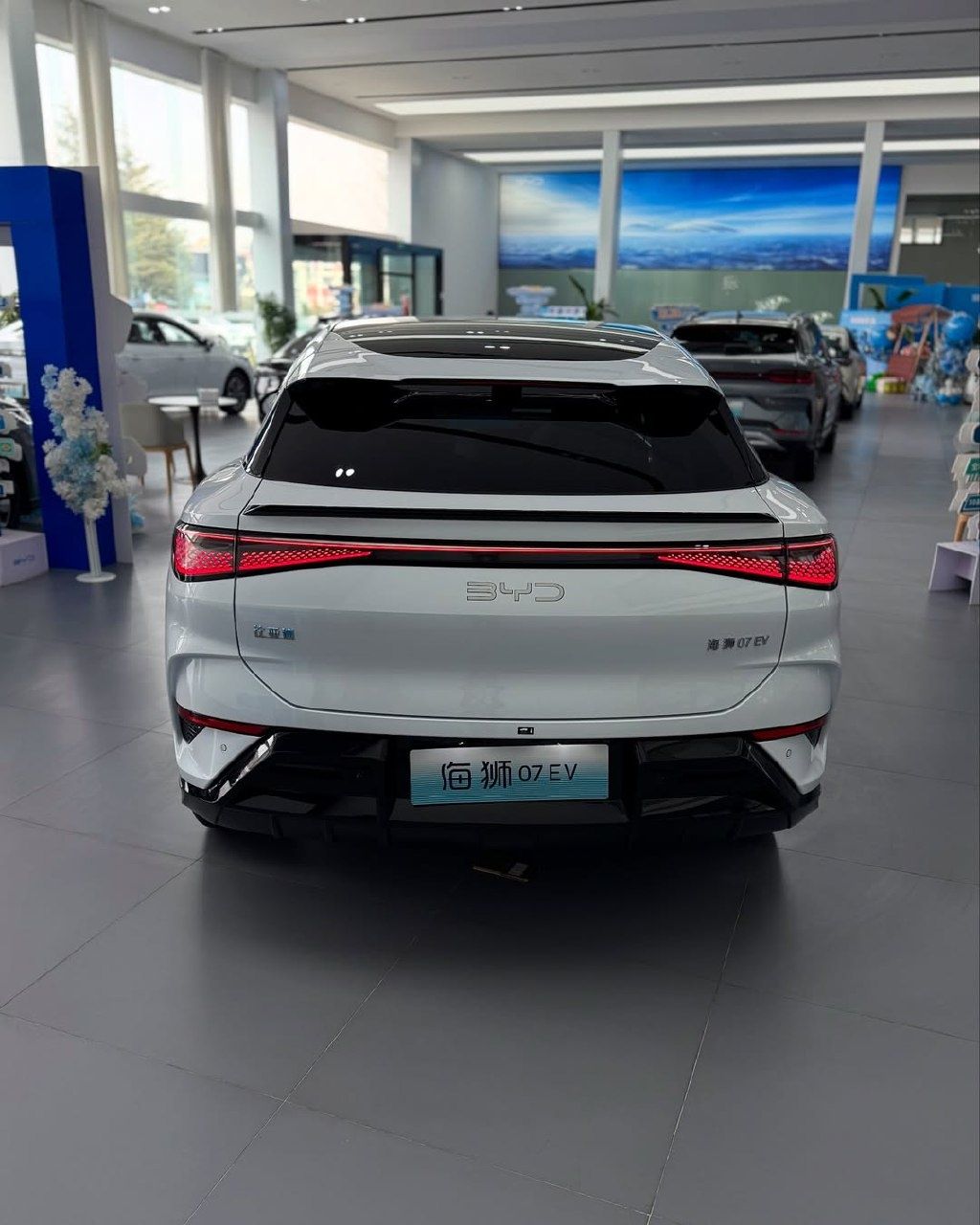 BYD sea lion 610