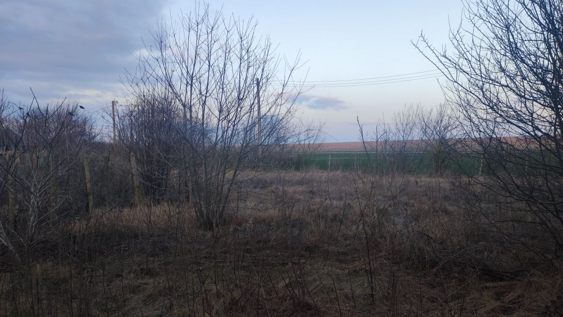 Продава се Парцел в Каварна - 2400 кв.м за 3 €/кв.м - Снимка #2