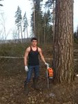 Daraxt kesish va Aralash xizmati