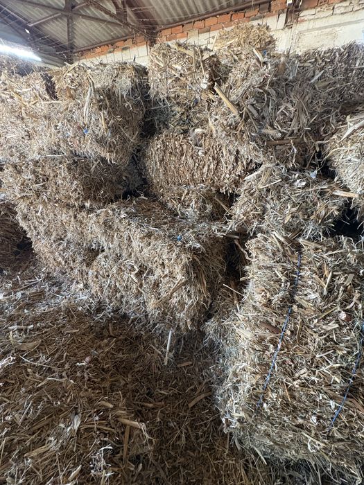 Продавам Бали  от царивичак.