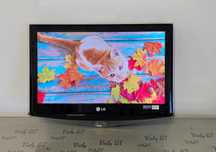 Televizor led - Lg 19LU4010 - 19 inch/48 cm - perfect functional