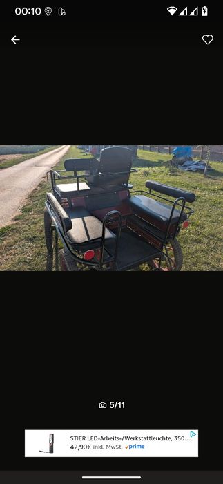 Trăsura pentru 6 persoane cu frâna la pedală, caleașca pt cai de vânza