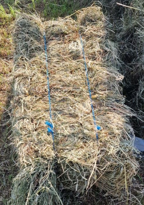 Baloti fan de vanzare